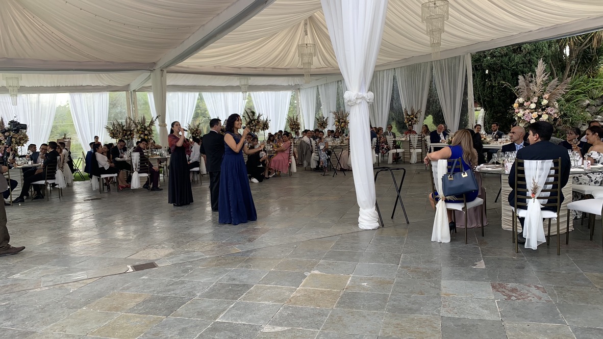 Cena y show de ópera 12